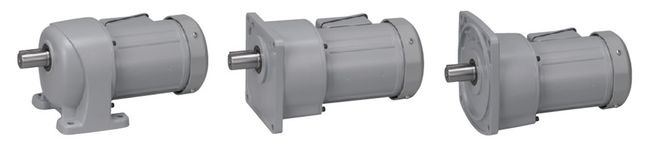 感应齿轮电机平行轴（G3）