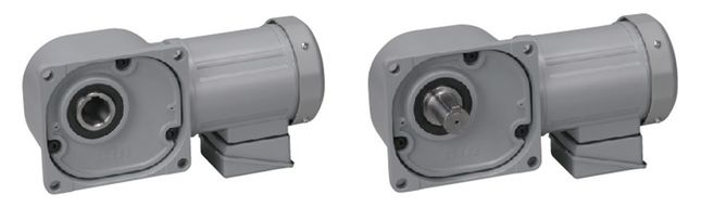 感应齿轮电机中空/中实轴（F）