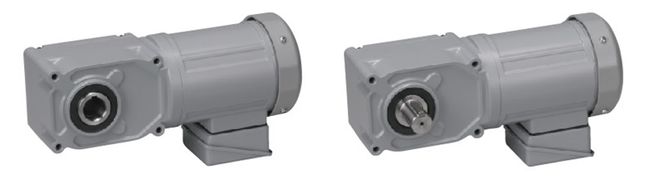 感应齿轮电机同心中空中实轴（F3）